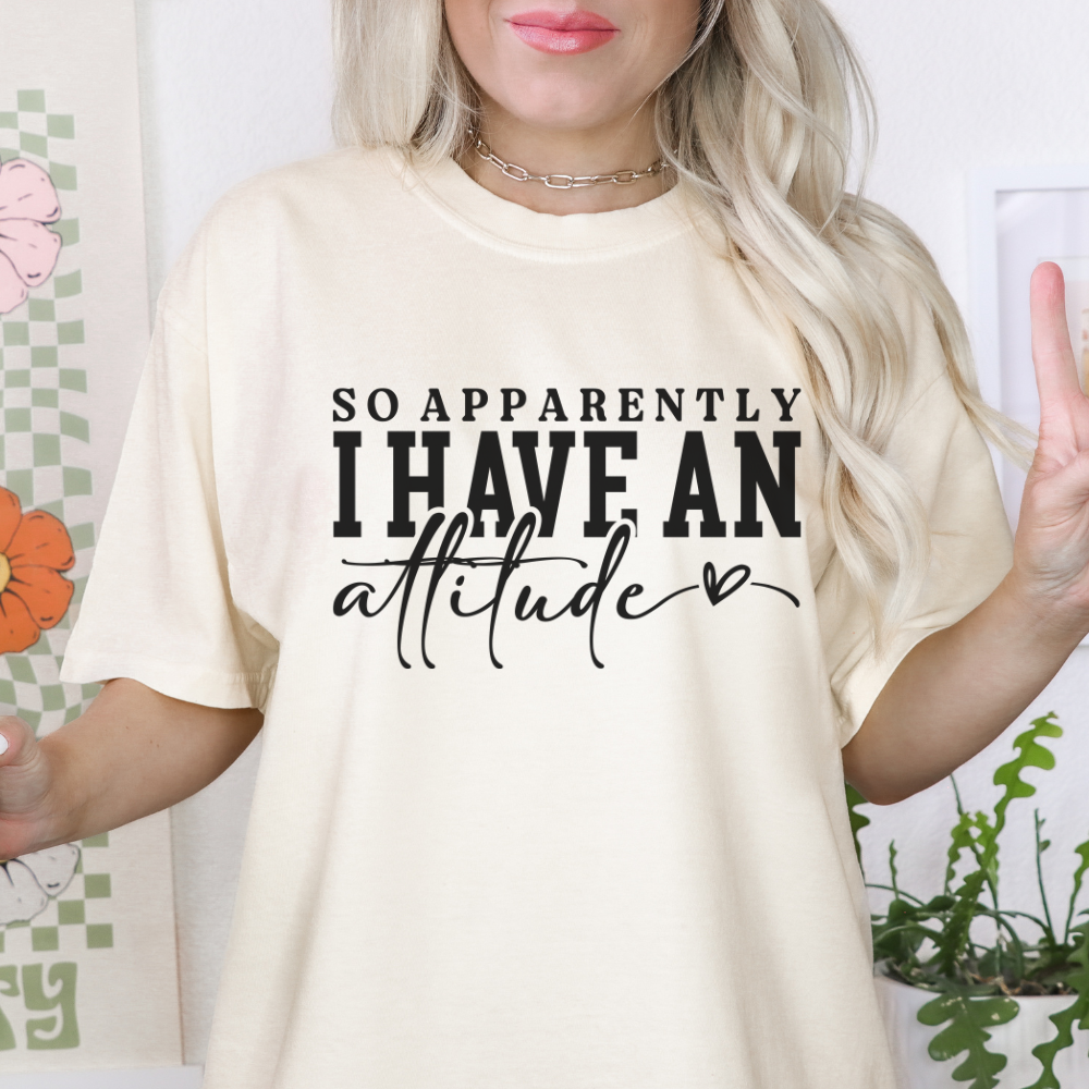 Attitude Problem Comfort Colors T-Shirt