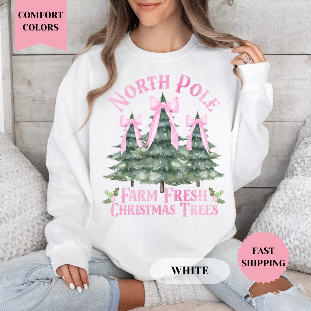 North Pole Christmas Comfort Colors Sweatshirt, Christmas Sweater, Womenswear