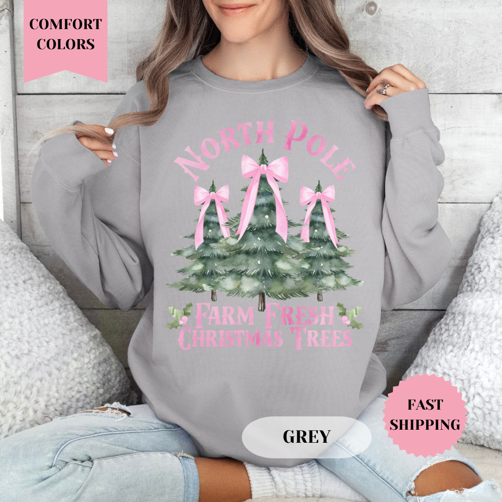 North Pole Christmas Comfort Colors Sweatshirt, Christmas Sweater, Womenswear