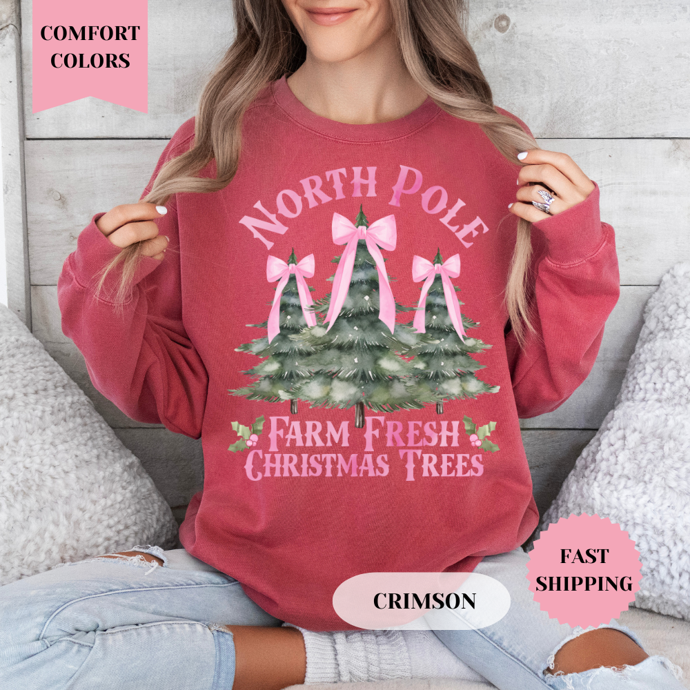 North Pole Christmas Comfort Colors Sweatshirt, Christmas Sweater, Womenswear