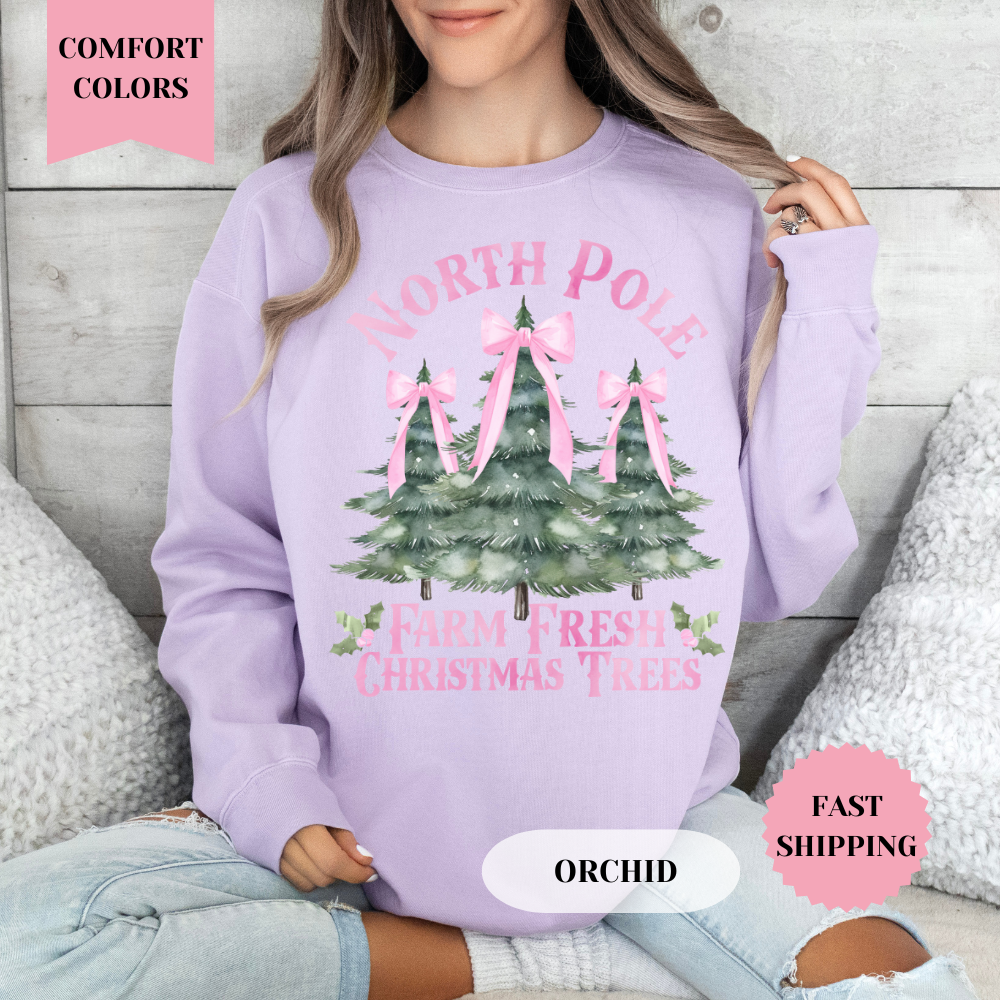 North Pole Christmas Comfort Colors Sweatshirt, Christmas Sweater, Womenswear