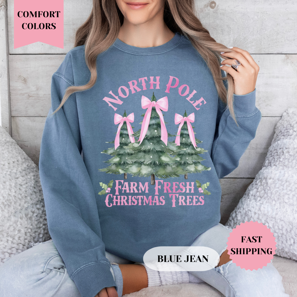 North Pole Christmas Comfort Colors Sweatshirt, Christmas Sweater, Womenswear