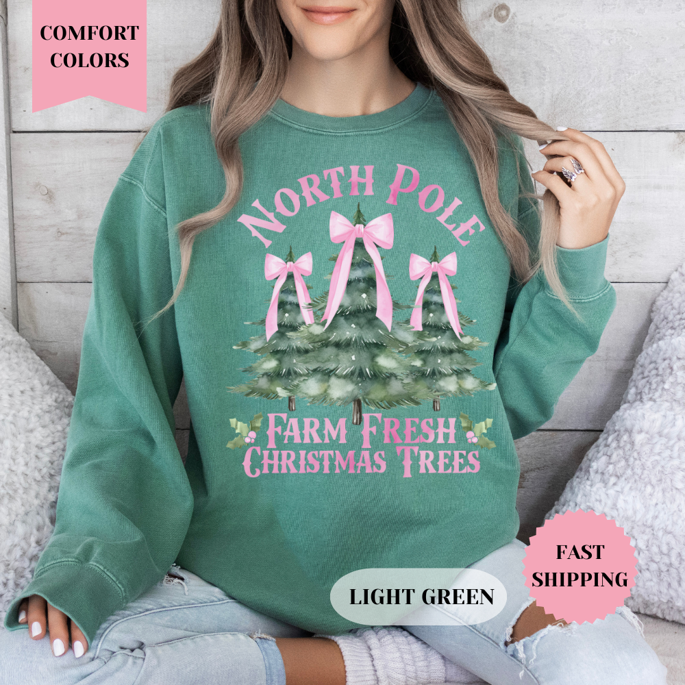 North Pole Christmas Comfort Colors Sweatshirt, Christmas Sweater, Womenswear